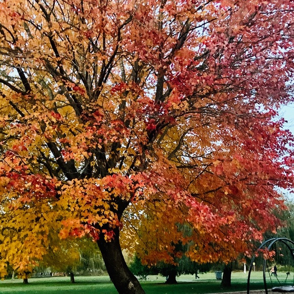 Meet your Posher, Hofit - Picture 1 of 1